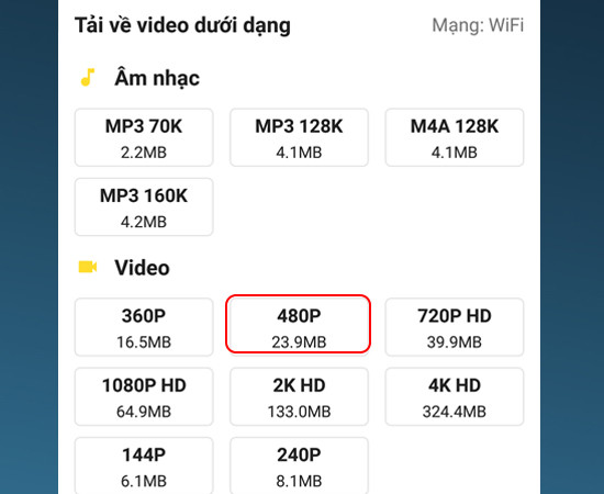Chọn chất lượng video muốn tải