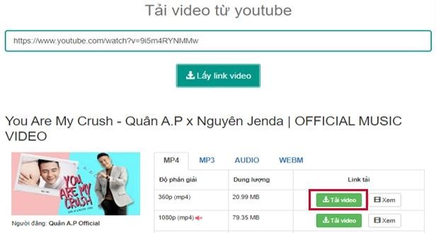 Chọn định dạng và nhấn “Tải video”