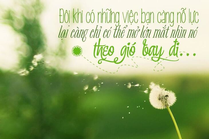 Những câu châm ngôn hay về cuộc sống