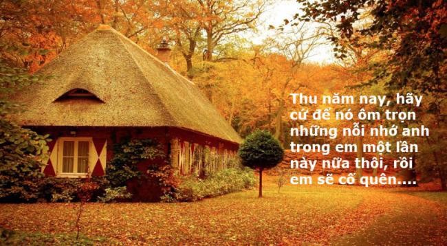 Những câu quotes về mùa thu cực hay