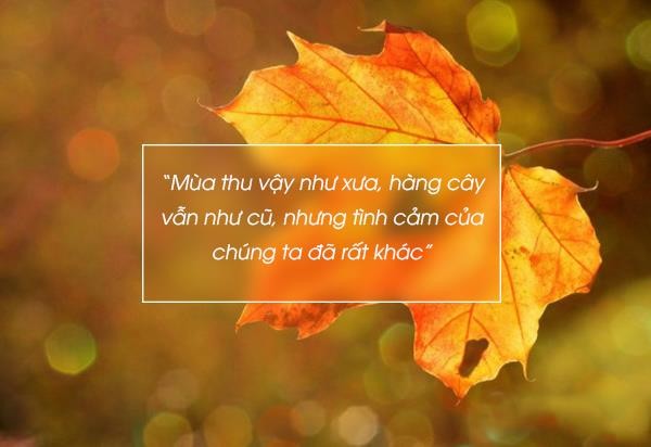 Quotes mùa thu 3