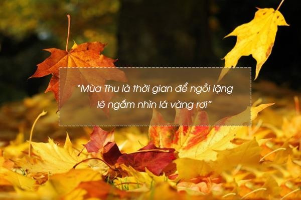 Quotes mùa thu 4
