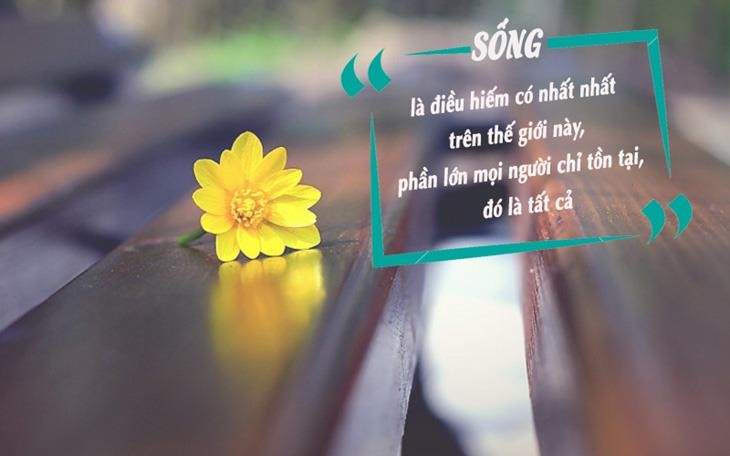 Những câu châm ngôn danh ngôn về cuộc sống chất ngắn gọn, hay, ý nghĩa
