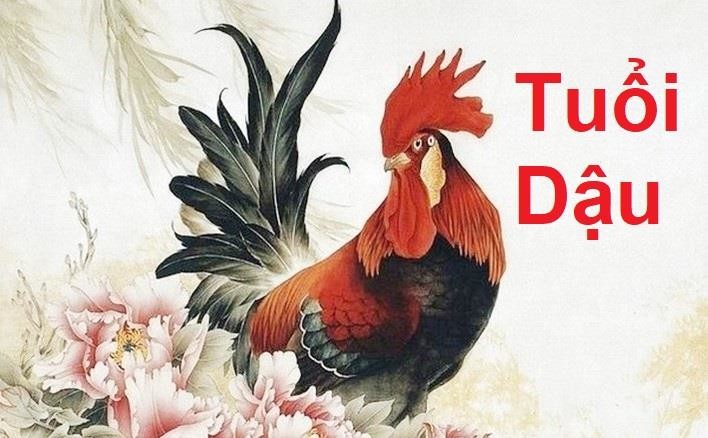 Vận hạn tuổi Dậu năm 2022 Tuổi Dậu năm 2022 sao gì chiếu