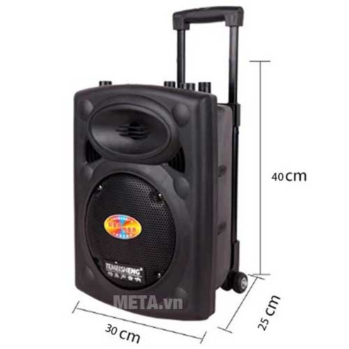 Loa di động Temeisheng 131