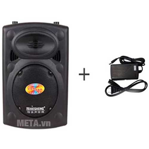 Loa di động Temeisheng 131