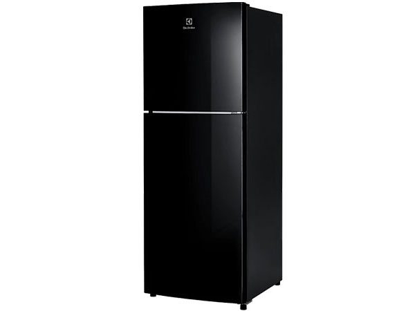 Tủ lạnh Electrolux ETB2802J-H 256 lít