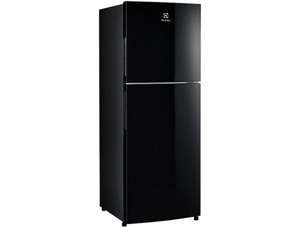 Tủ lạnh Electrolux ETB2802J-H 256 lít
