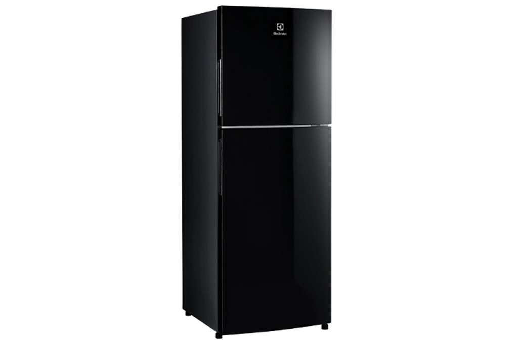Tủ lạnh Electrolux ETB2502J-H Inverter 225L