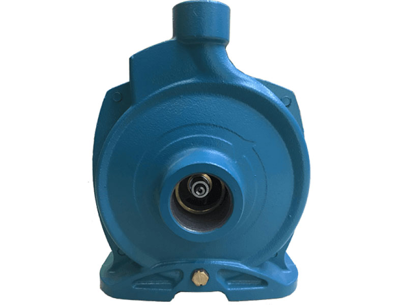 Bơm dân dụng cánh đồng Lepono ACM 150L