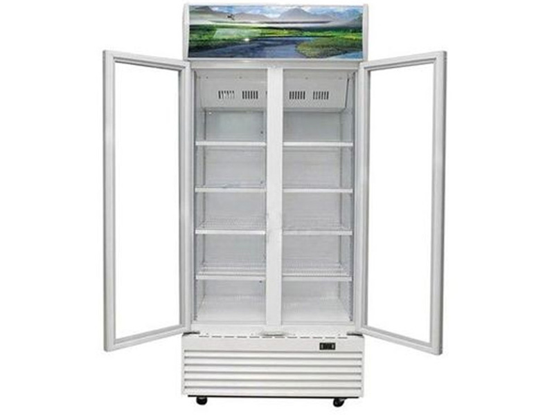 Tủ mát 2 cánh Inverter Sanaky 700 lít VH-8009HP3 đồng (R600a)