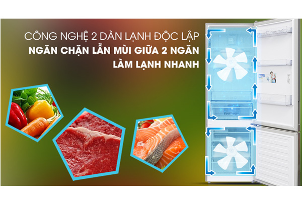 Tủ lạnh ngăn đá dưới Inverter 323 lít Beko RCNT340E50VZK