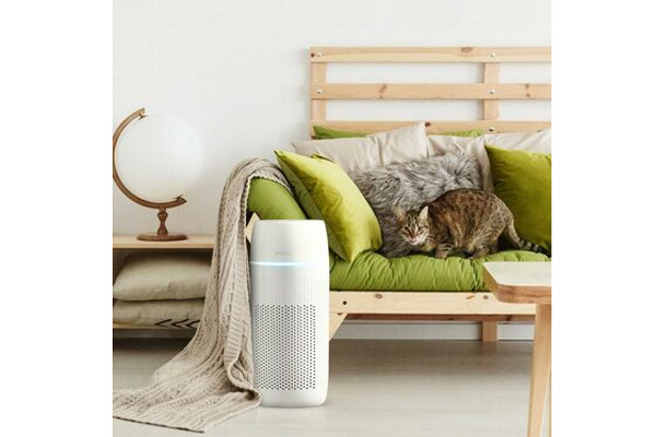 Máy lọc không khí khử mùi và lông vật nuôi 5-in-1 Homedics AP-PET35A-WT/AP-PET35-WT