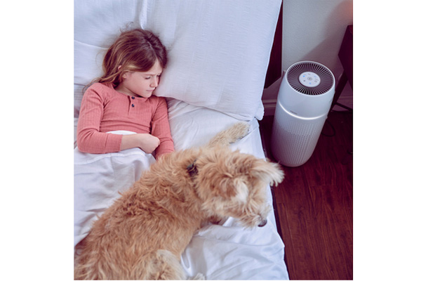 Máy lọc không khí khử mùi và lông vật nuôi 5-in-1 Homedics AP-PET35A-WT/AP-PET35-WT