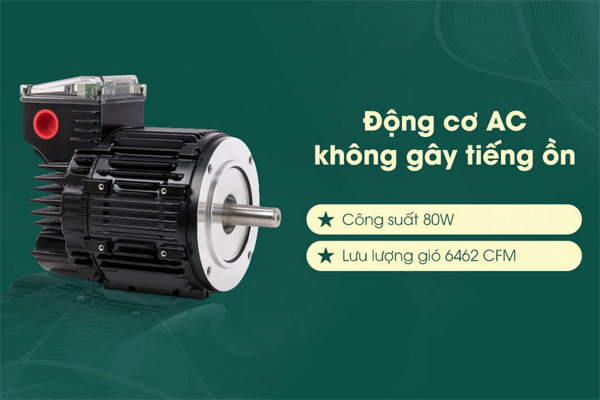 Quạt trần Hunter Builder 50567 (50562)