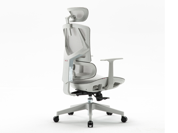 Ghế công thái học Sihoo M91C