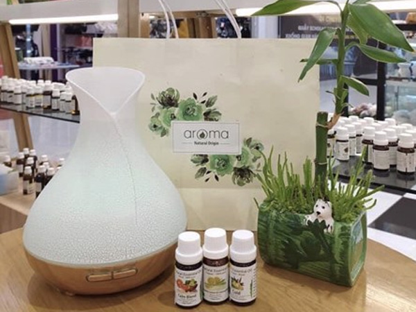 Máy khuếch tán tạo độ ẩm xông tinh dầu Aroma Cổ cao vân rạn trắng 500ml