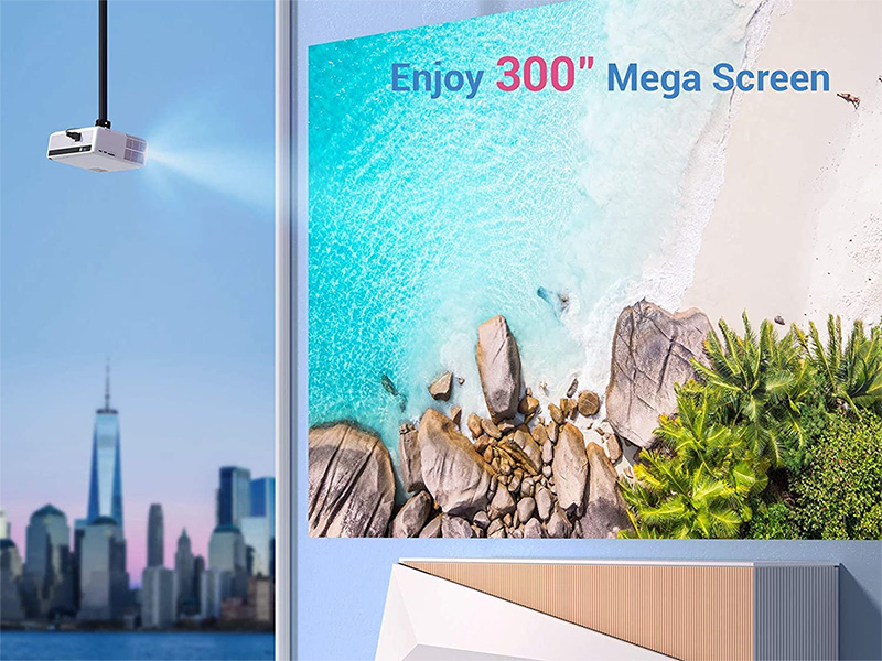 Máy chiếu Vankyo Performance V630W