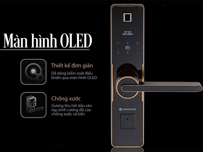 Khóa điện tử Archie AJ4011-04-KO