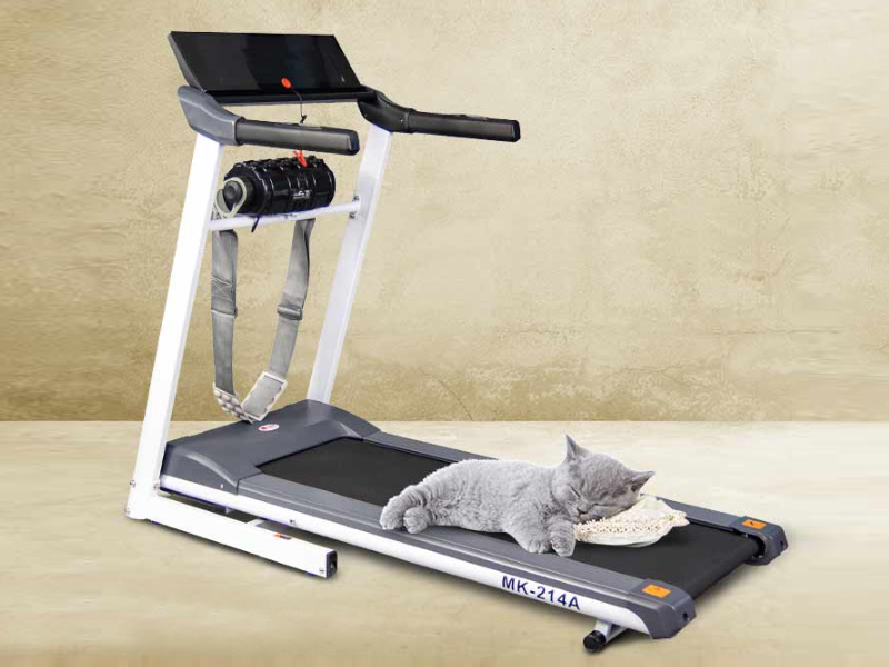 Máy chạy bộ Buheung MK-214A