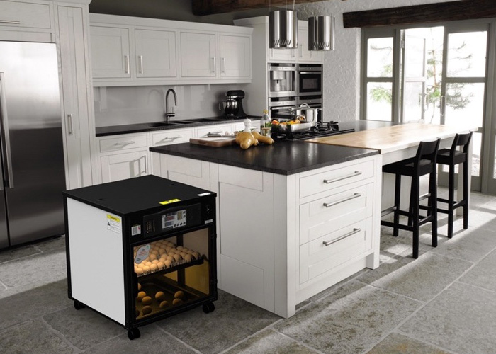 Máy ấp trứng LIN - Delta H1 (100 trứng)