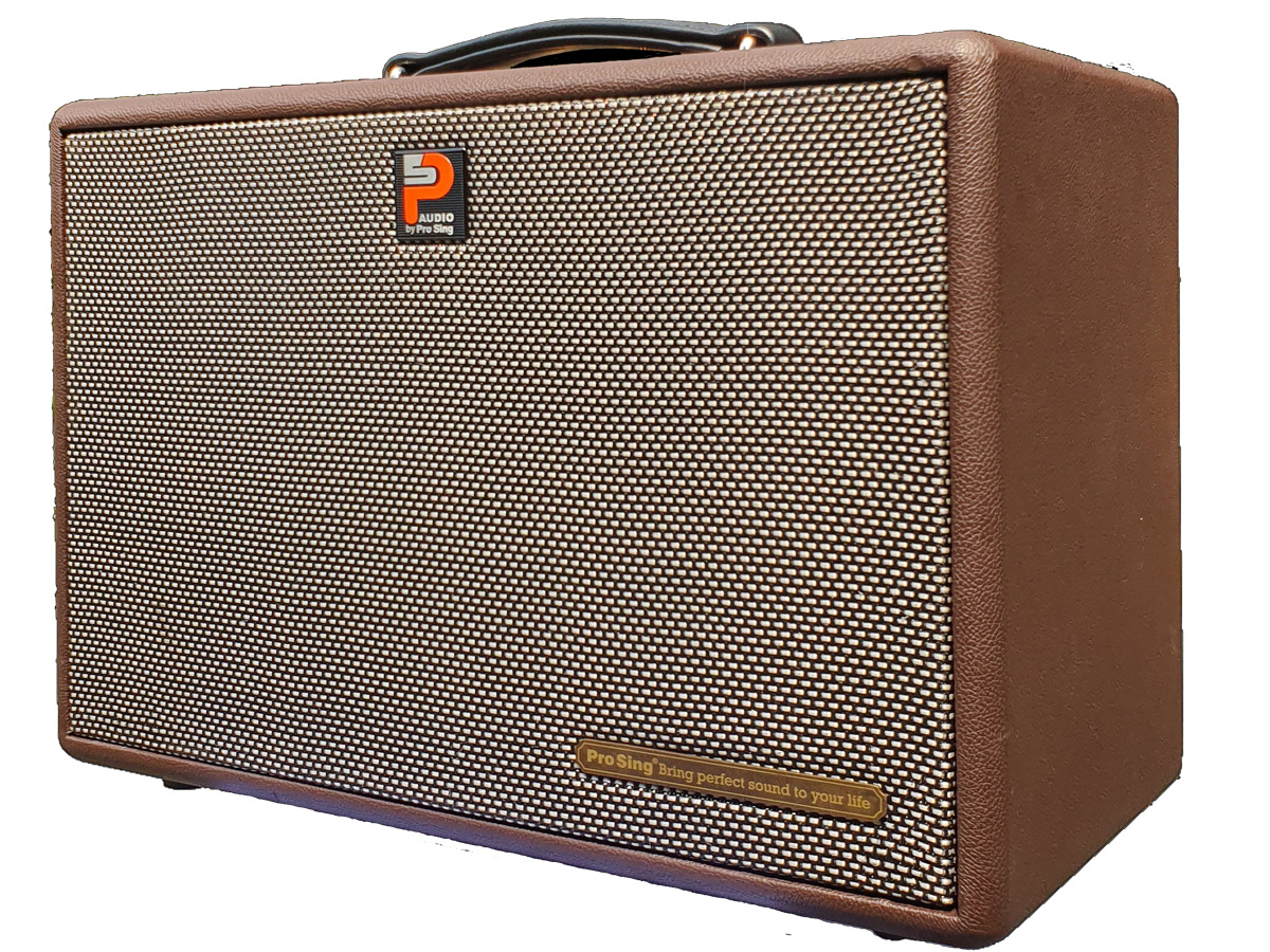 Loa di động Karaoke xách tay Prosing W8 KOR