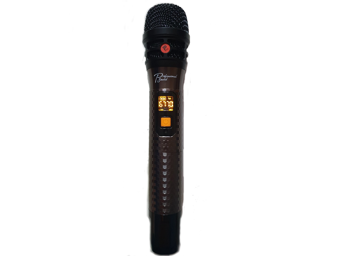 Loa di động Karaoke xách tay Prosing W8 KOR