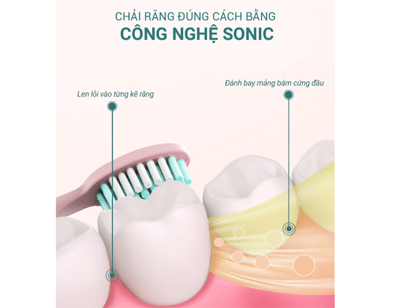 Bàn chải điện Sonic Life360 LE-BCD22B (Xanh)