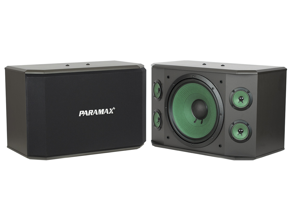 Loa treo karaoke và nghe nhạc Paramax K-2000