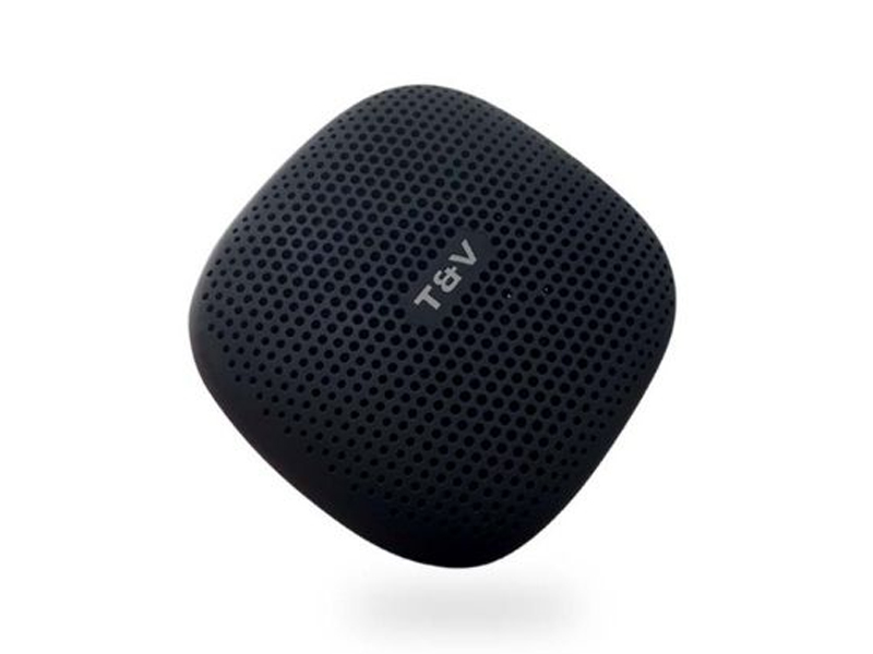 Loa Bluetooth Thonet & Vander Duett