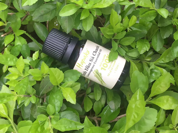 Tinh dầu tự nhiên sả chanh nguyên chất Hapaku