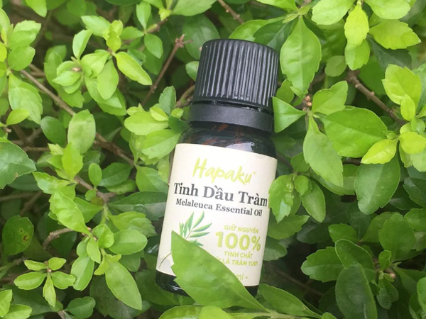 Tinh dầu tràm tự nhiên nguyên chất Hapaku 10ml