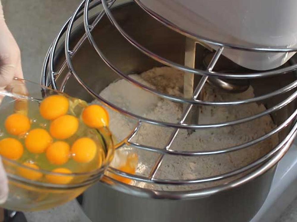 Máy nhào bột/thực phẩm đa năng DK20 (Năng suất 8kg/mẻ)