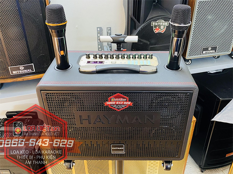 Loa kéo xách tay Sonaco Hayman X8-6