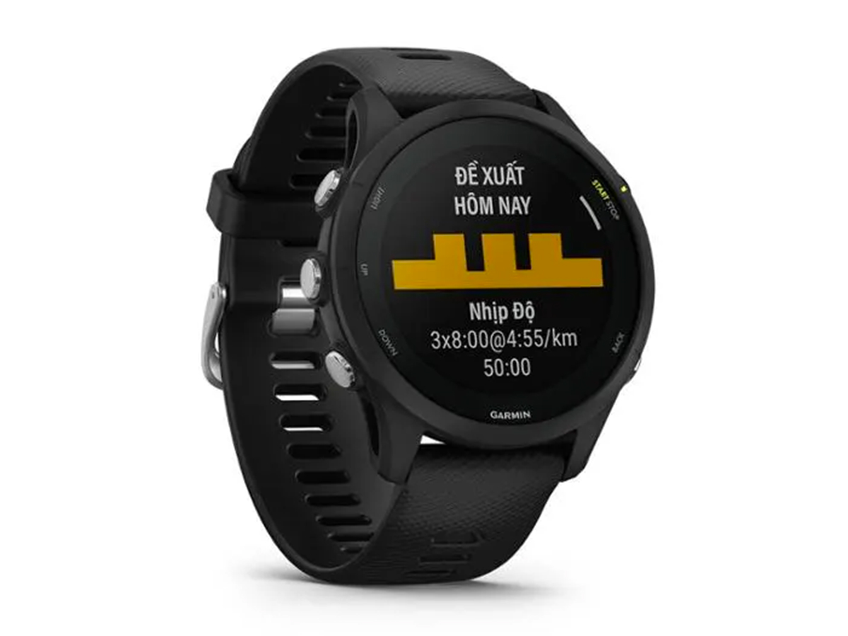 Garmin Forerunner 255 (010-02641)