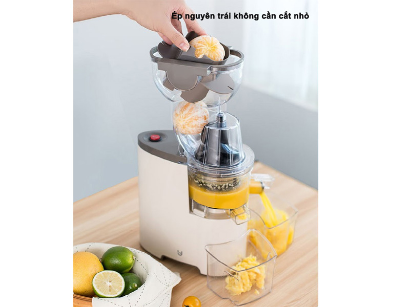 Máy ép chậm trái cây BUD-BJ-V10