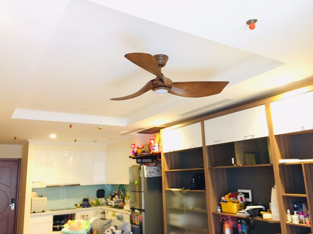 Quạt trần Mr.Vũ MELODY