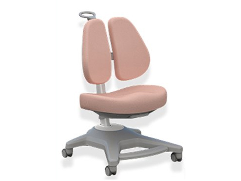 Ghế ngồi chống gù cho học sinh DRY- 816