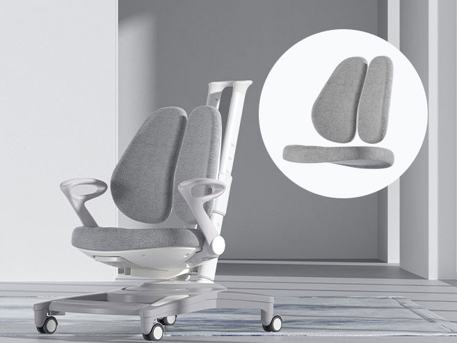 Ghế ngồi chống gù cao cấp DRY-818