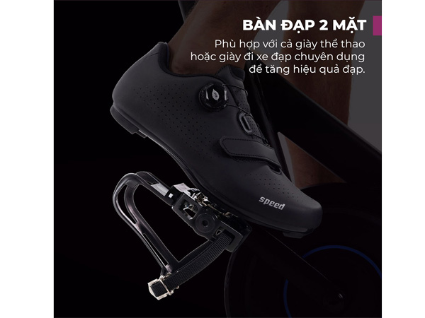 Xe đạp thể thao Horizon 5.0IC