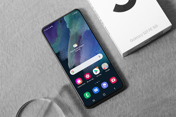 Samsung Galaxy S21 FE 5G (SM-G990E/DS)