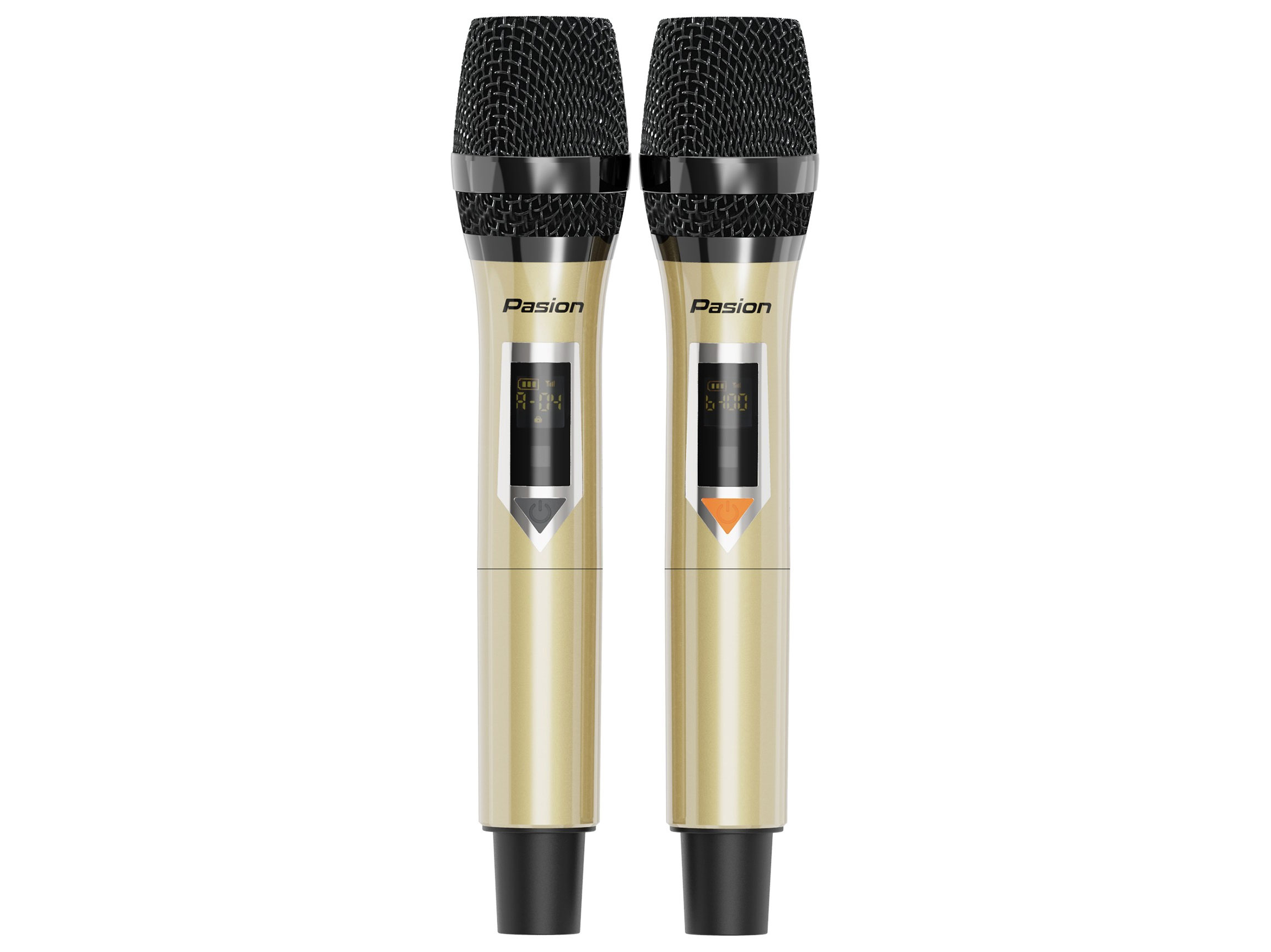 Loa di động Paramax Pasion 2 xách tay