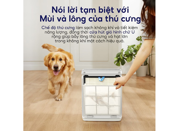 Máy lọc không khí chống dị ứng thú cưng Levoit Vital 100S (LAP-V102S-AASR)