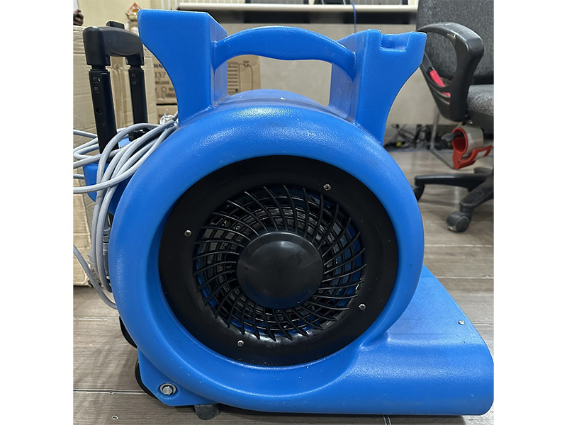 Quạt sấy thảm Camry BF535