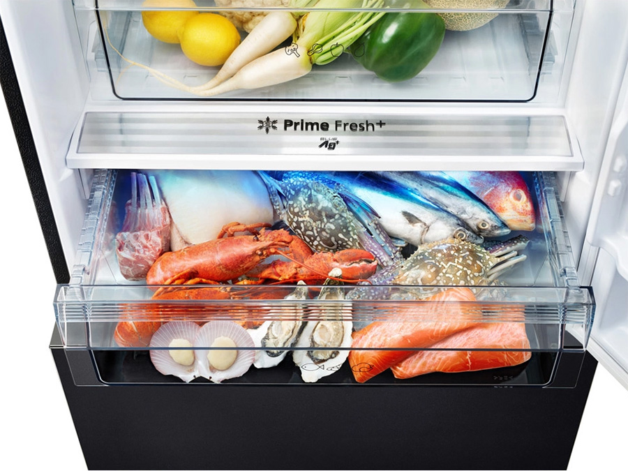 Tủ lạnh Panasonic Inverter 380 lít NR-BX421WGKV