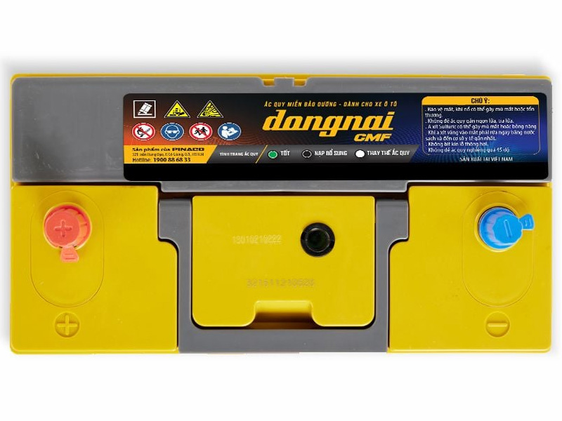 Ắc quy khô Đồng Nai 12V-100Ah CMF 31800ĐN (31800RDN)