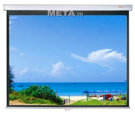 Màn chiếu treo tường Dalite 84 x 84 inch (P84WS/CN-T120)