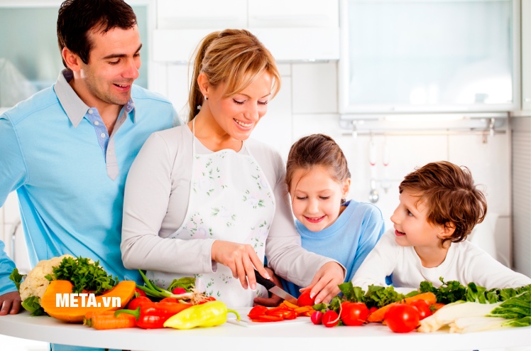 Máy xay cầm tay Zelmer ZHB0804S symbio