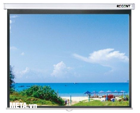 Màn chiếu treo tường Regent 96 x 96 EES96 (2m44 x 2m44)