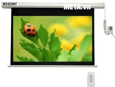 Màn chiếu điều khiển từ xa Regent 70 x 70 CN-SD100 (1m78 x 1m78)